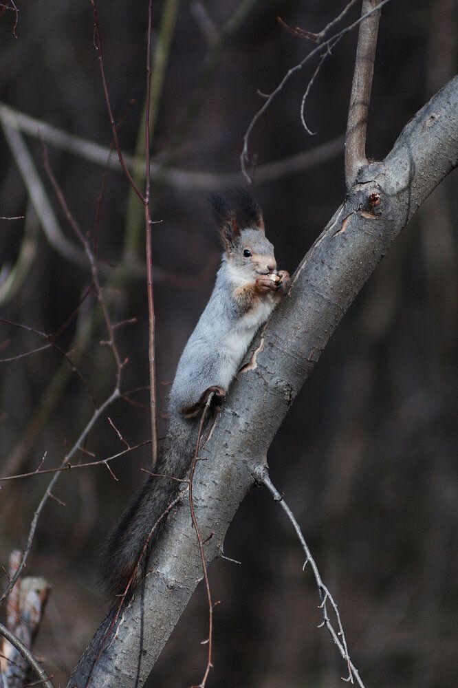 Photograph by Анна