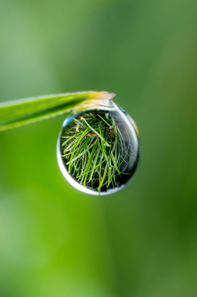 A droplet of water