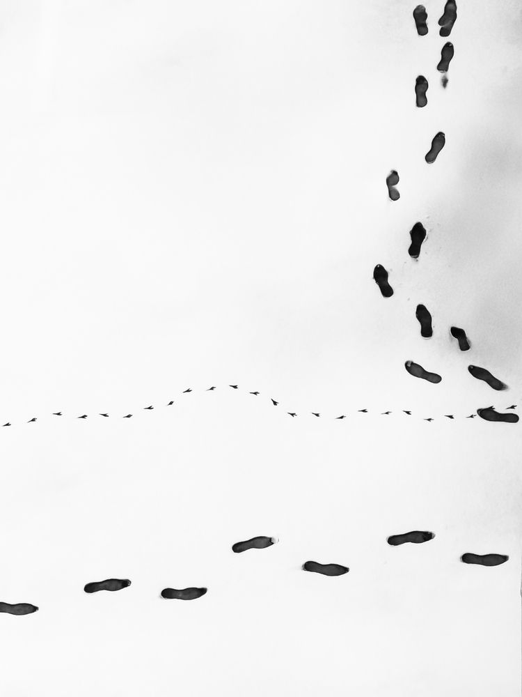 Photograph by Щепанов Дмитрий