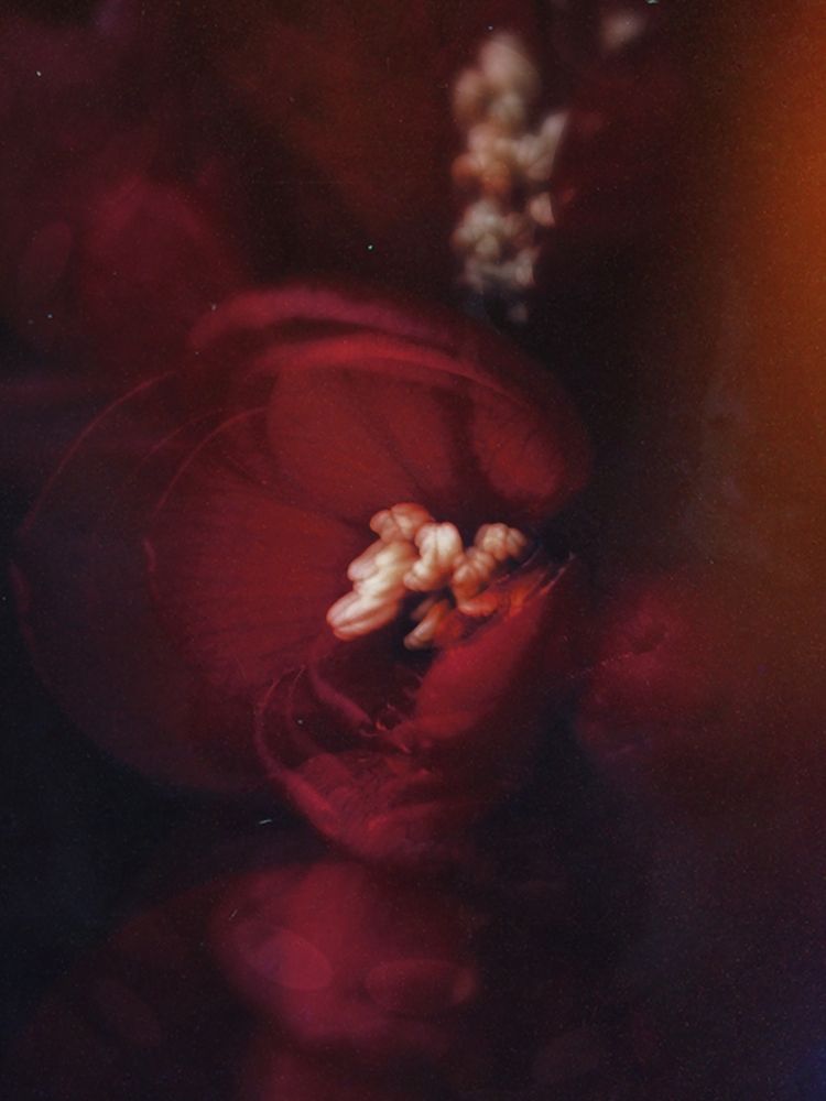 Photograph by Александра Шилова