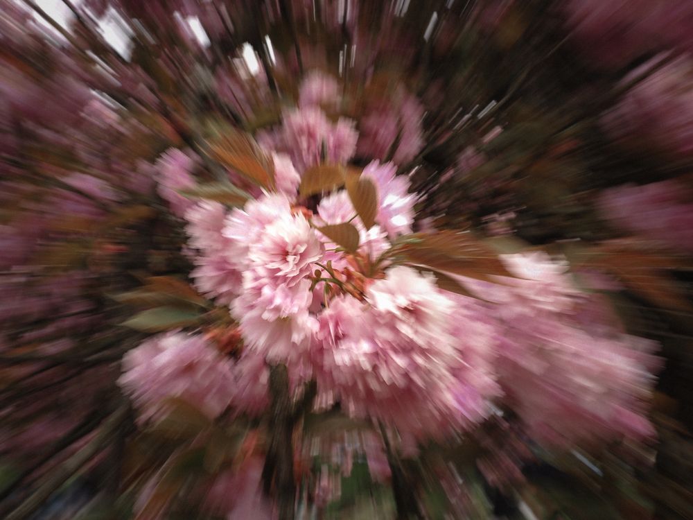 Photograph by Александра Шилова