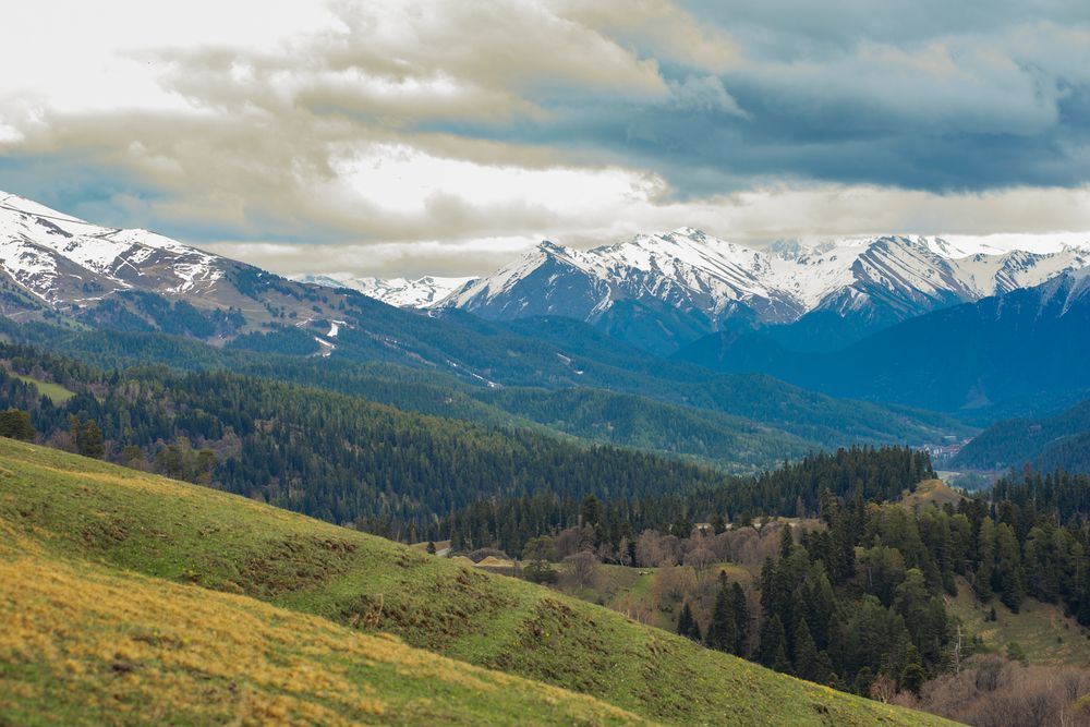 Photograph by Юлия Герцева