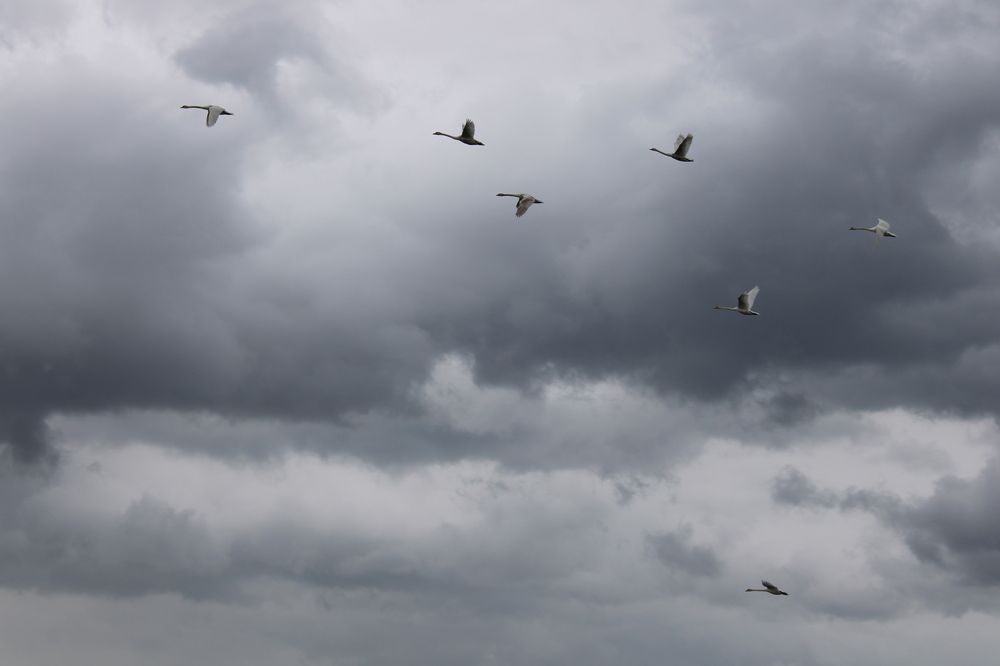 Photograph by Елена Коробченко