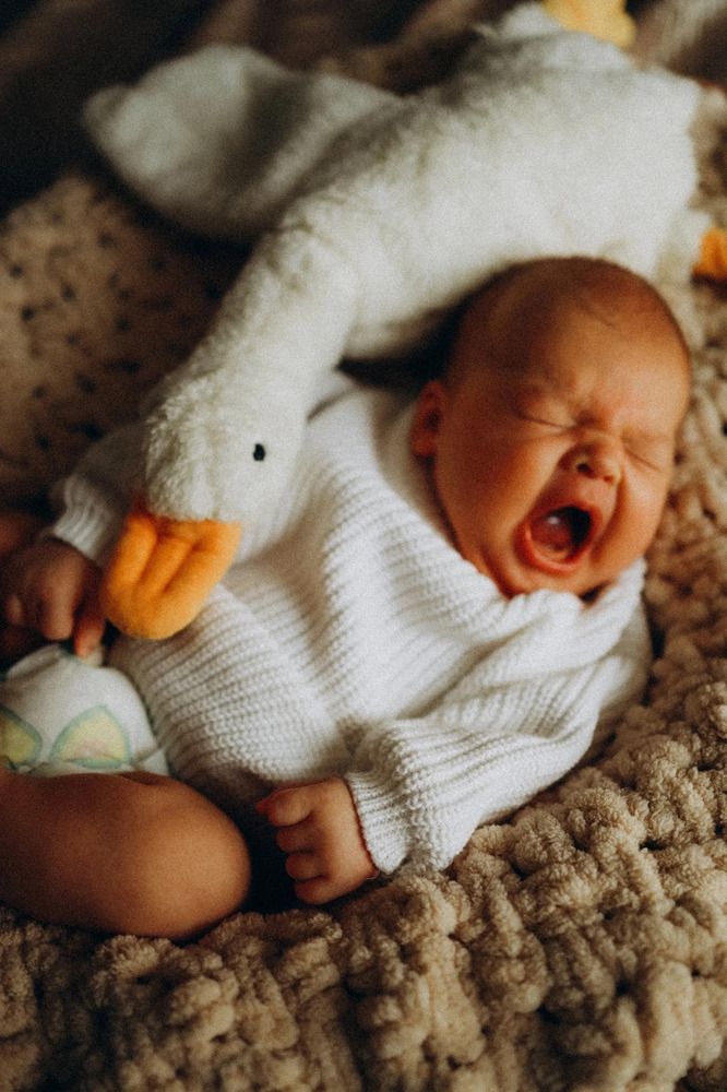 Photograph by Елена Сутырина