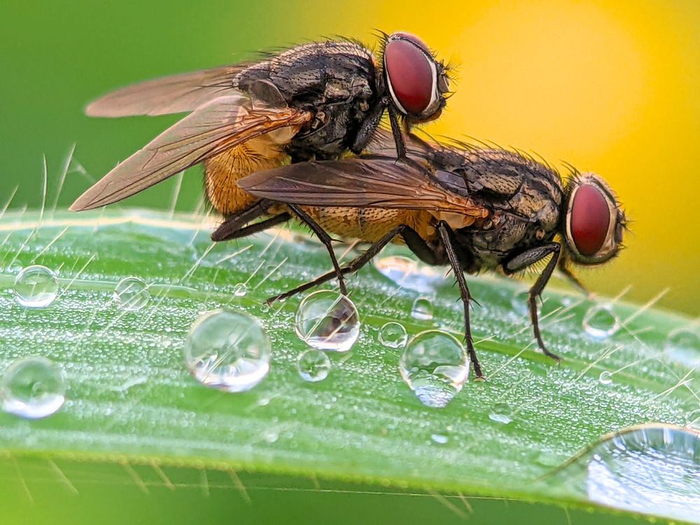 Photograph by QUYẾT TRỌNG NGUYỄN