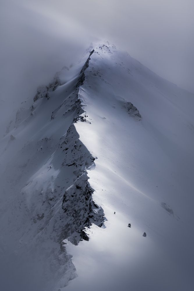 Photograph by Alexis Crozier
