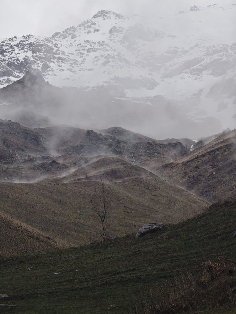 Фотография автора Артем Веселов