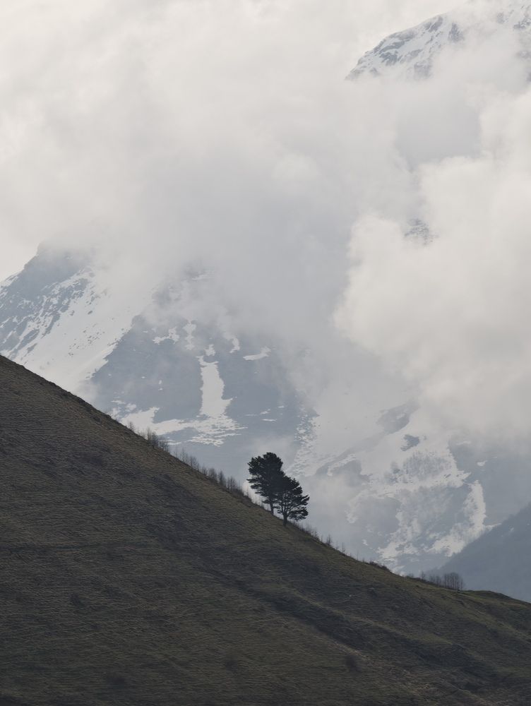 Фотография автора Артем Веселов