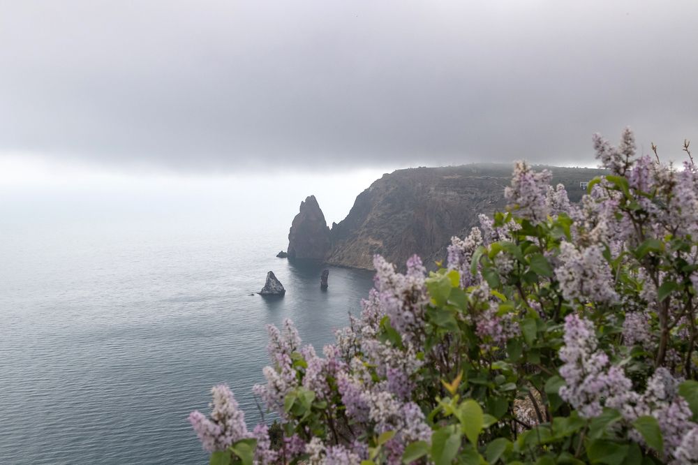 Photograph by Антонина Кузнецова