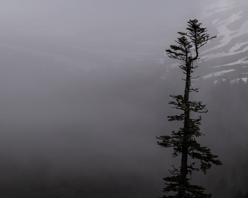 Photograph by Антонина Кузнецова