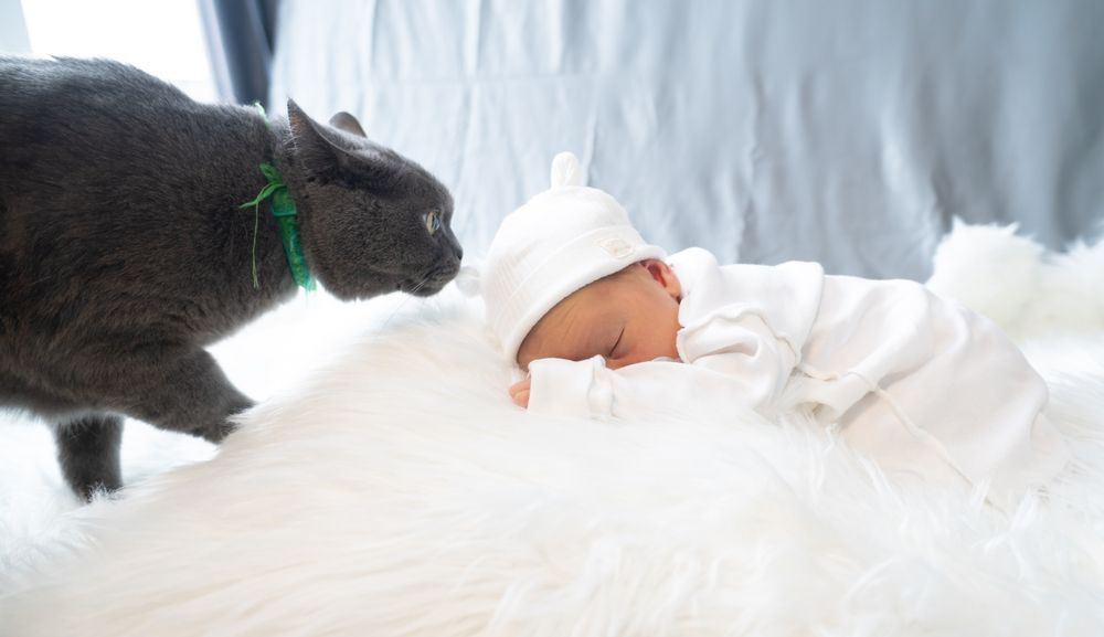 Photograph by Сергей Хранитель