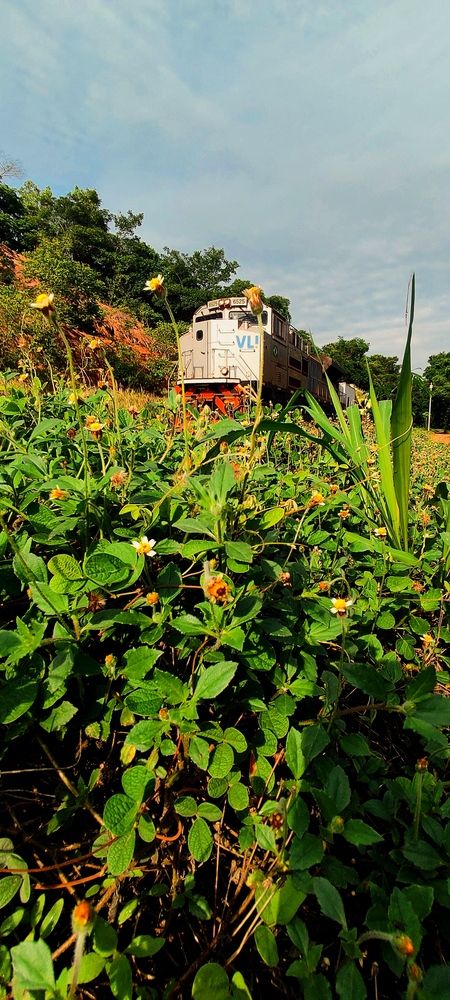 Photograph by Jailson Solidade