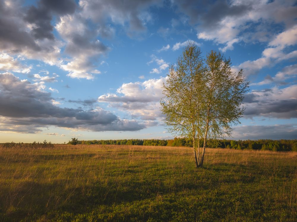 Photograph by Кирилл Сидоров