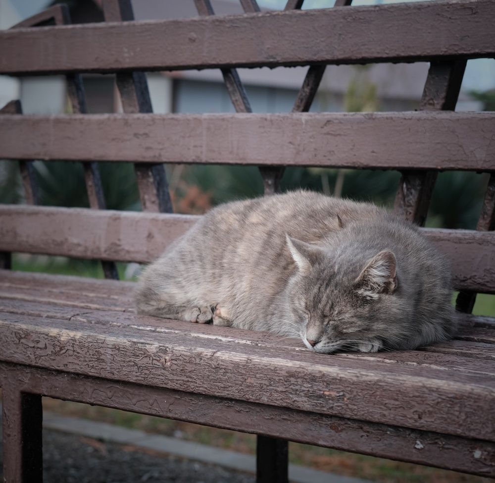 Photograph by Сергей Кошин