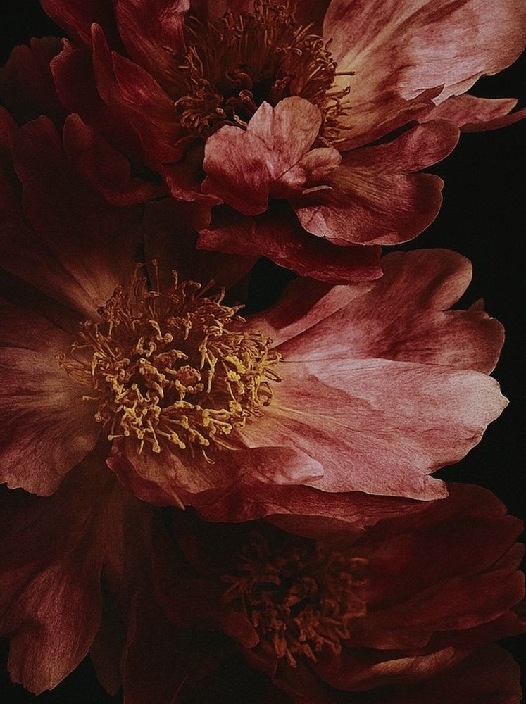 Фотография автора Barbariska