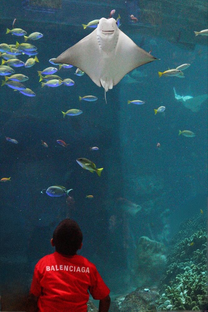 Фотография автора Яна Сергеева