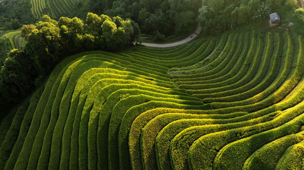 Photograph by Trần Đoàn Huy