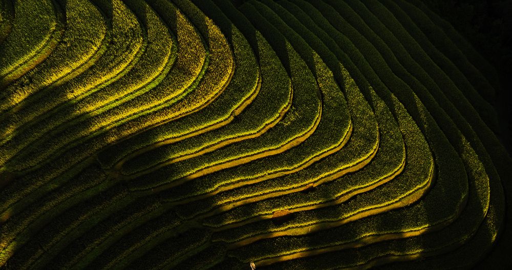 Photograph by Trần Đoàn Huy