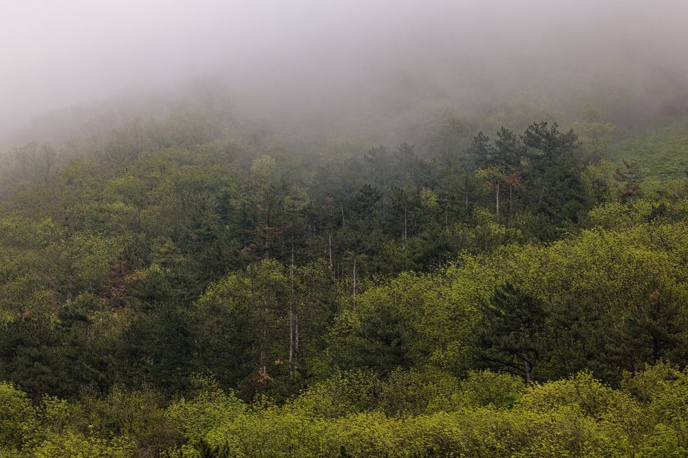 Photograph by Александр Селезнев