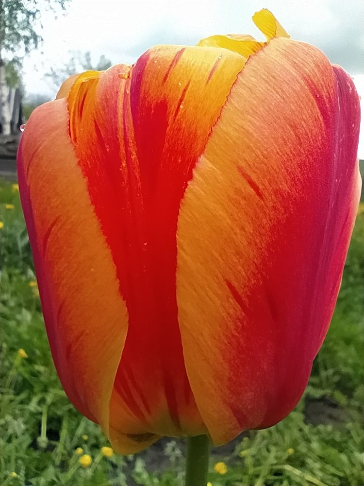 Photograph by Юрий Гордеев