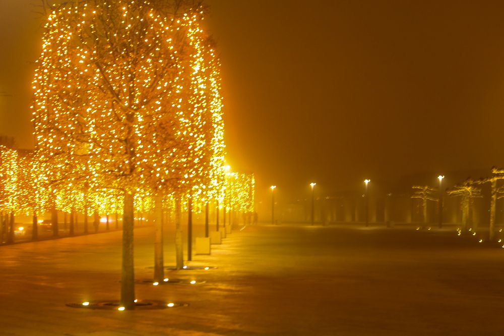 Фотография автора Николай Лысенко