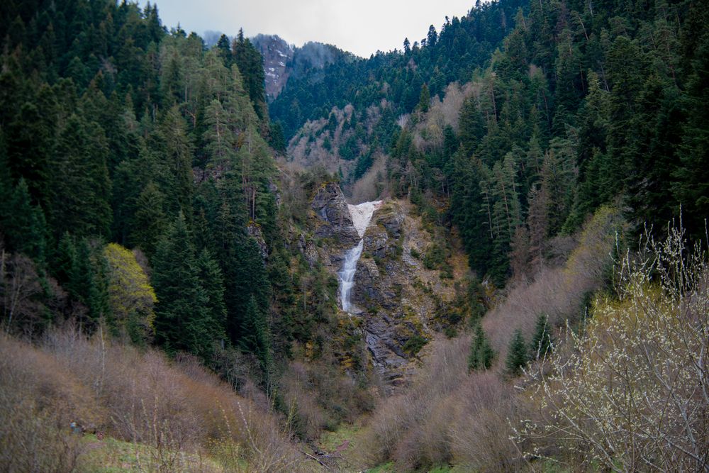 Photograph by Юлия Герцева