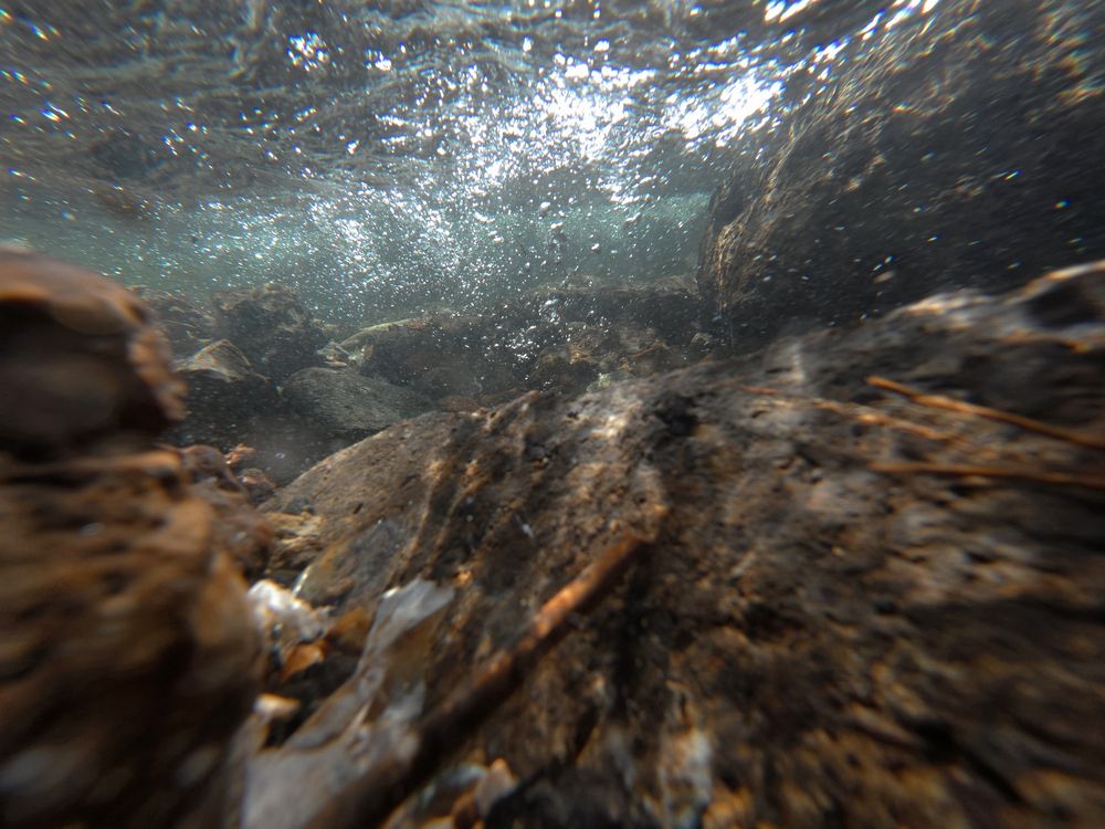 Photograph by Владислав Кравцов