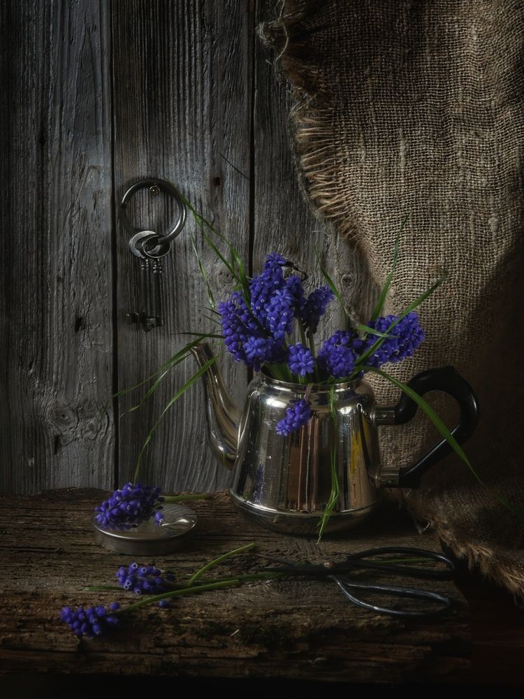 Photograph by Angelica Medvedeva