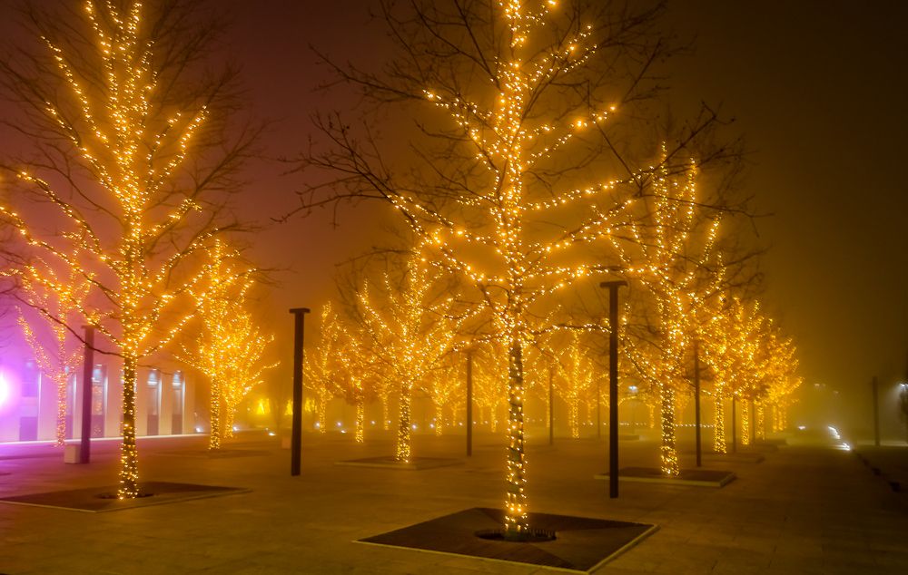 Фотография автора Николай Лысенко