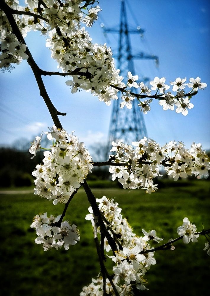 Фотография автора Гвоздецкая Анна