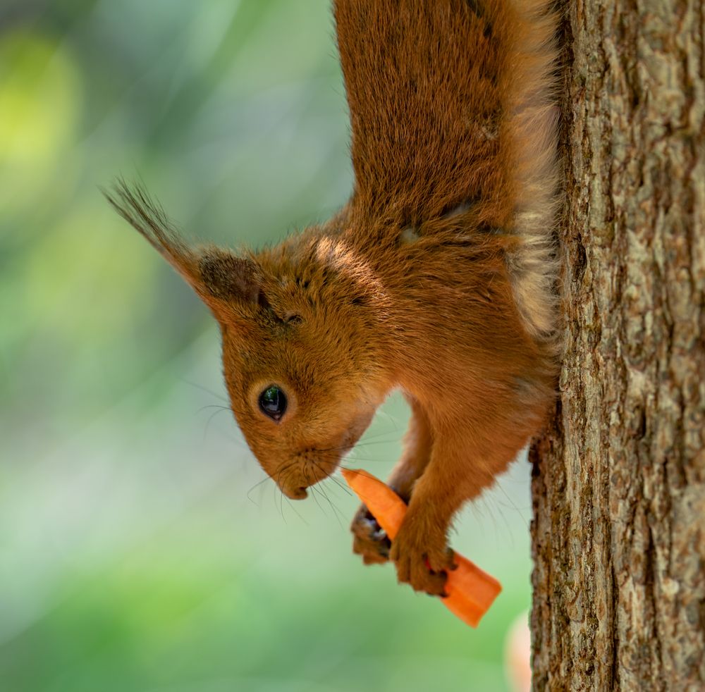 Photograph by Константин Яковлев