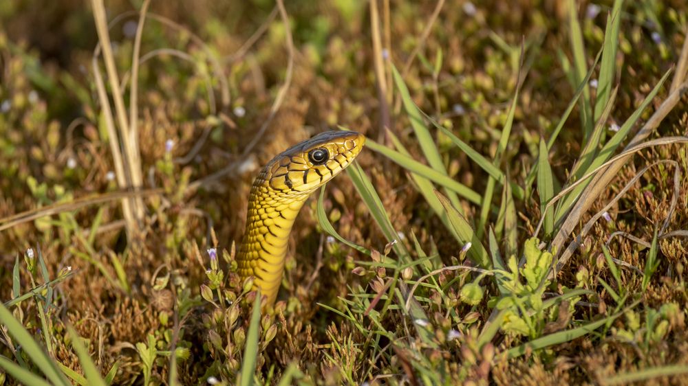 Photograph by Faisal Fasaludeen