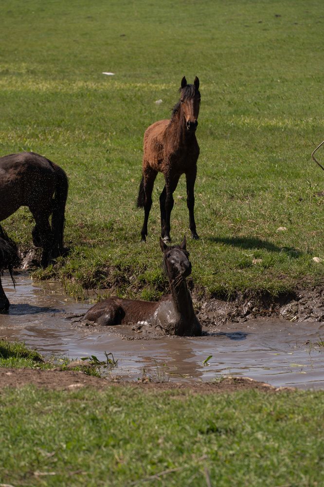 Фотография автора Светлана Зимина