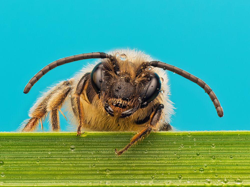 Фотография автора Sergio Gomez Dominguez