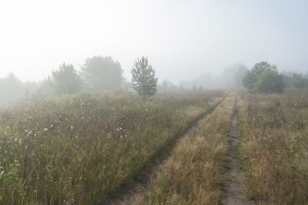 Photograph by Олег Малетин