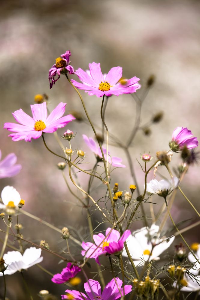 Photograph by Michelle Hart