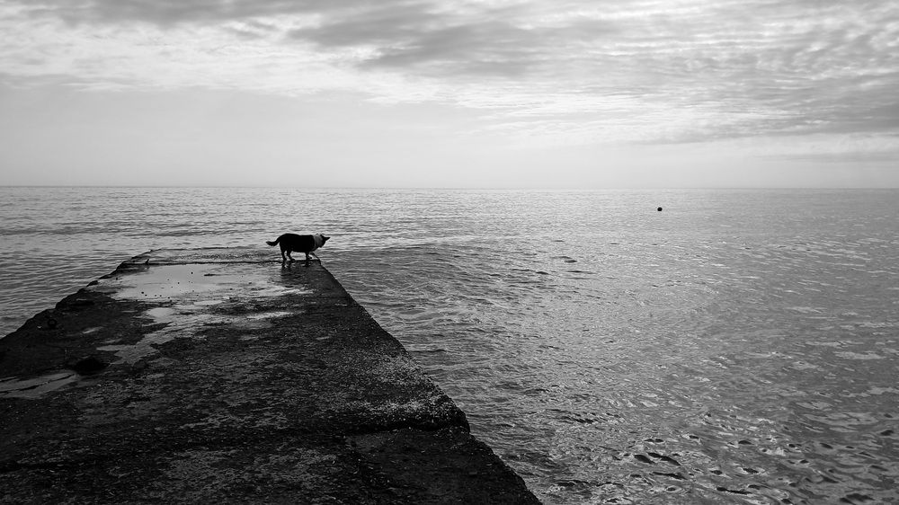 Photograph by Елена Кузнецова