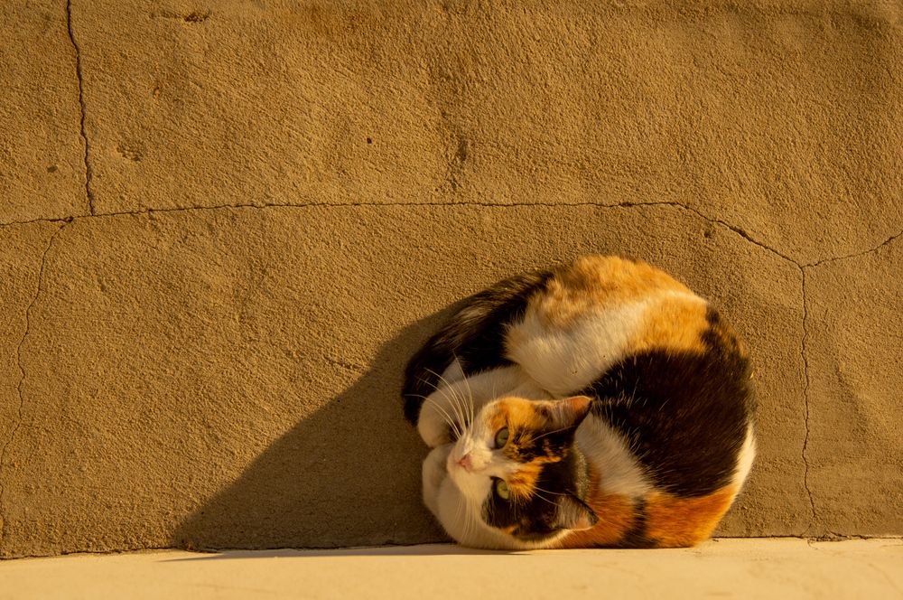 Photograph by Евгений Апухтин