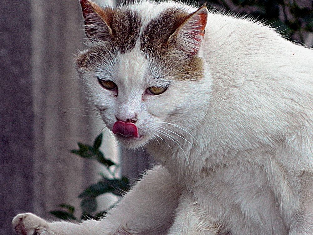 Photograph by Сергей Рапопорт