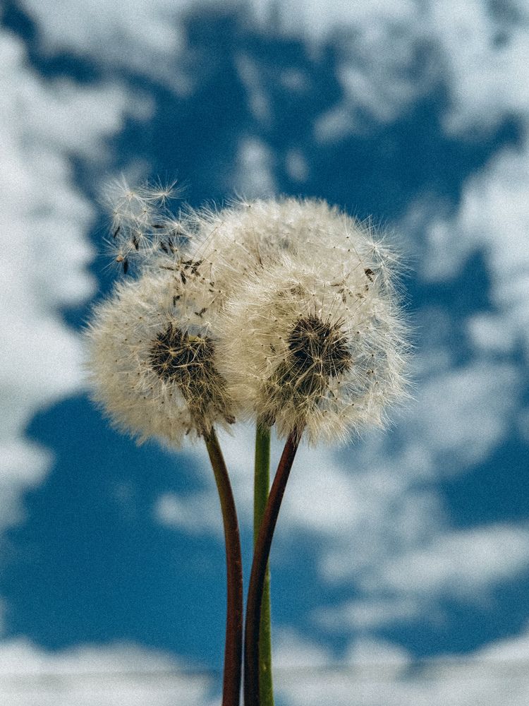 Photograph by Evgenia