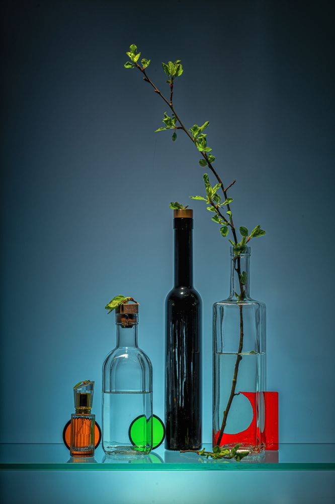 Photograph by Павлович Анатолий