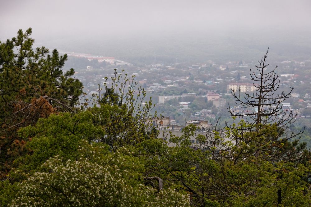 Photograph by Александр Селезнев