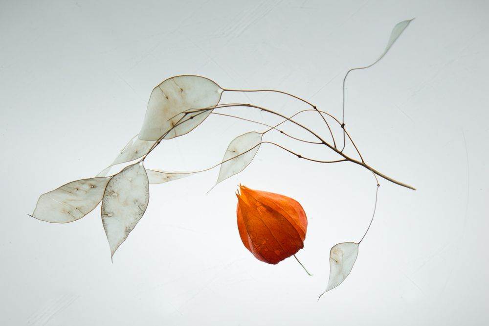 Photograph by Ирина Фотеева