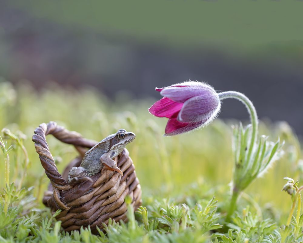 Photograph by Татьяна Феденкова