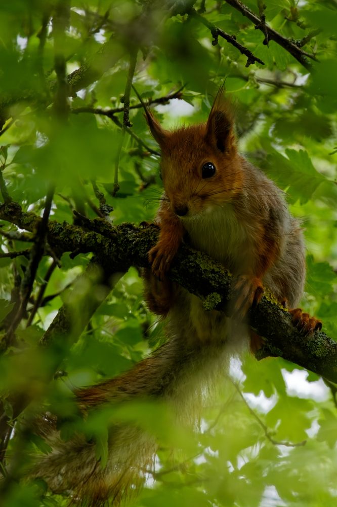Photograph by Александр Селезнев