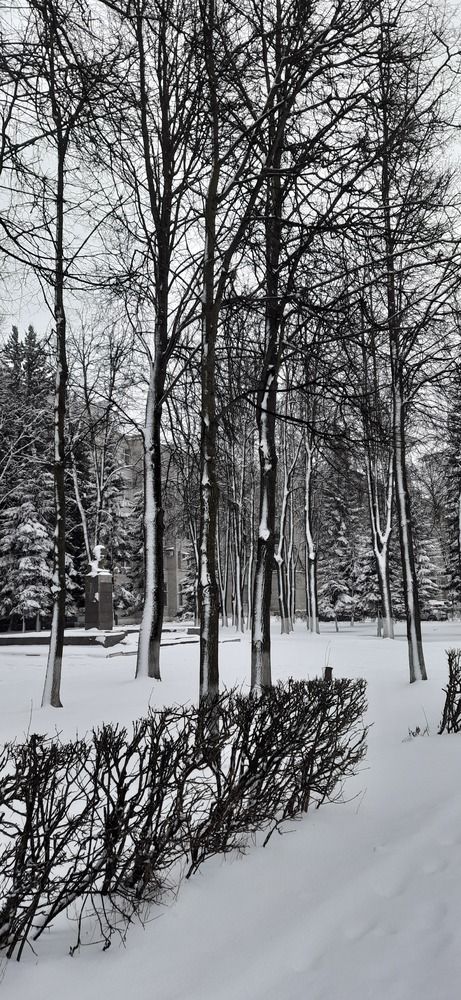 Photograph by Светлана Цапина