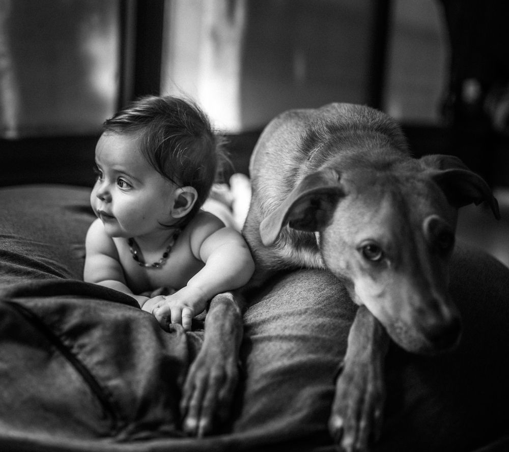 Friends