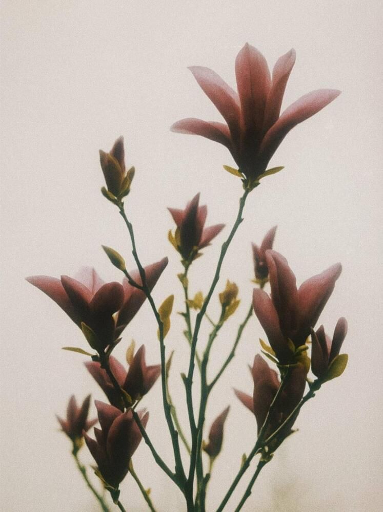 Фотография автора Barbariska