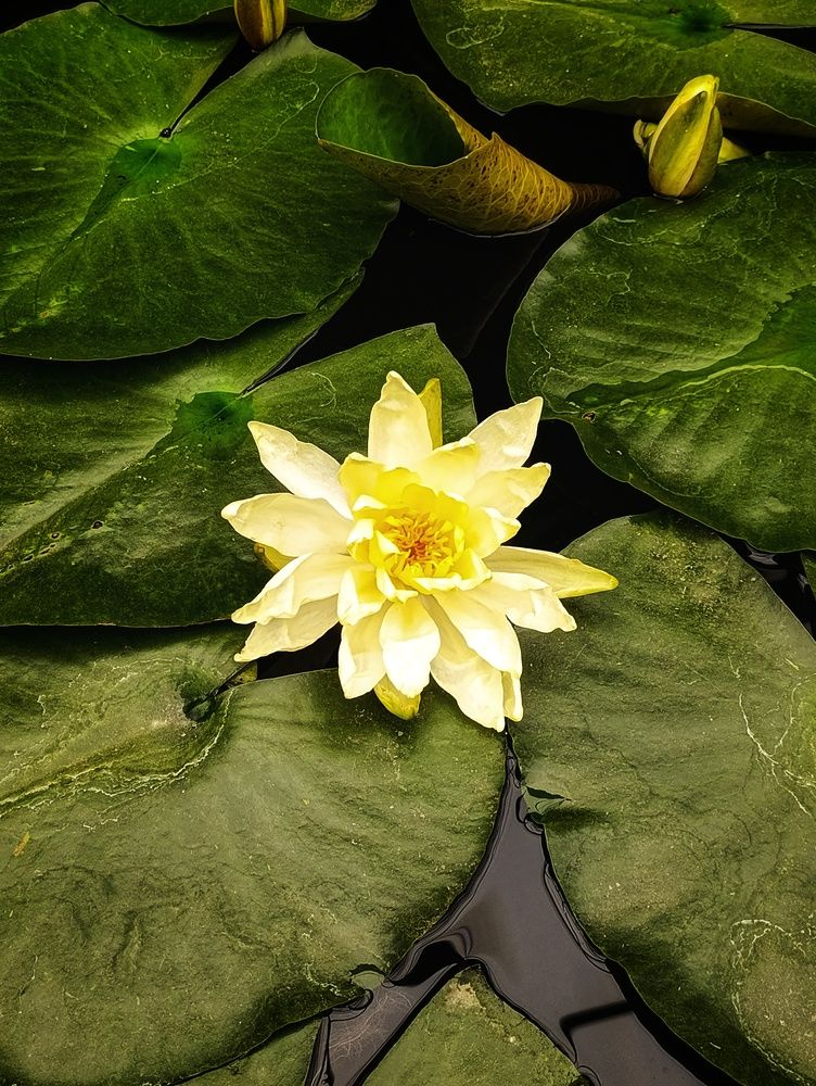 Photograph by Ulises Pintos