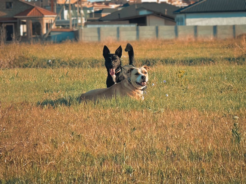 Photograph by Мария